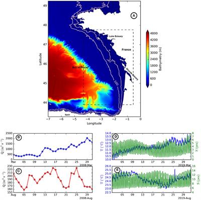 Non-Linear Processes in the Gironde River Plume (North-East Atlantic): Instabilities and Mixing